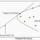 The Efficient Frontier, which illustrates the connection between risk and expected return.